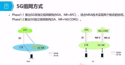 5G培訓應用篇一 5G概述、發(fā)展與演進及人體干細胞技術的開發(fā)與應用