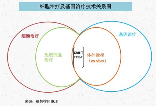 德恒律師事務所的專業(yè)視角 人體干細胞技術在北京與重慶的開發(fā)與應用法律實務