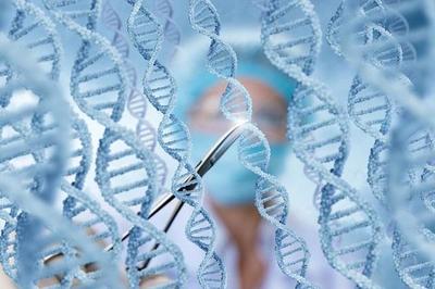 中國科學(xué)家靶向編輯長壽基因 讓老弱血管重獲“Q彈爽滑”，樹立干細(xì)胞技術(shù)新里程碑
